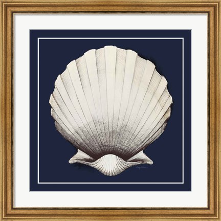 Framed Coastal Shell II with Border Navy Print