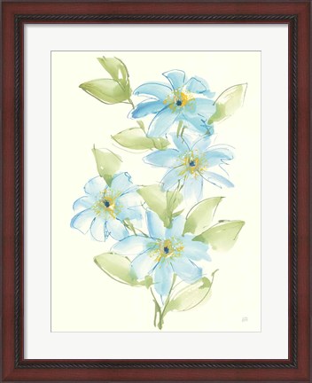 Framed Clematis Bouquet II Print