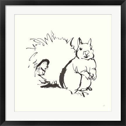 Framed Line Squirrel Print