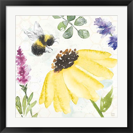 Framed Bee Harmony III Print