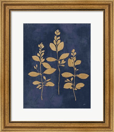 Framed Botanical Study IV Gold Navy Print