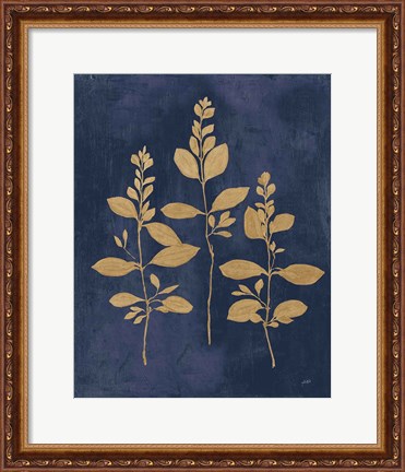 Framed Botanical Study IV Gold Navy Print