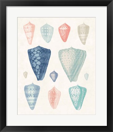Framed Colorful Shell Assortment II Coral Cove Print