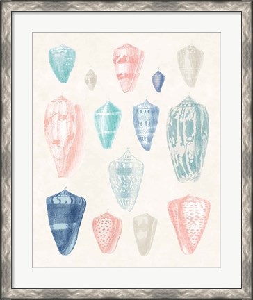 Framed Colorful Shell Assortment I Coral Cove Print