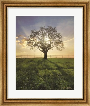 Framed Morning Shadows Print