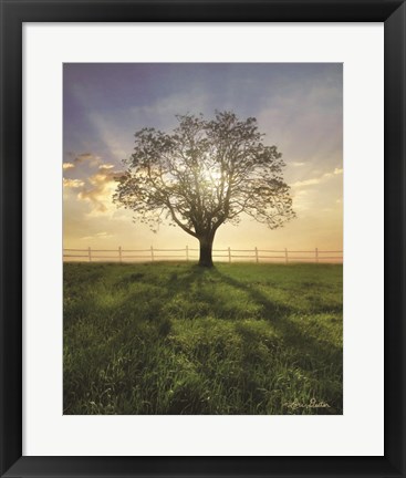 Framed Morning Shadows Print