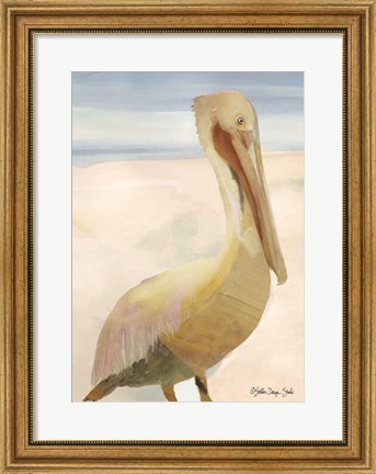 Framed Pelican 1 Print