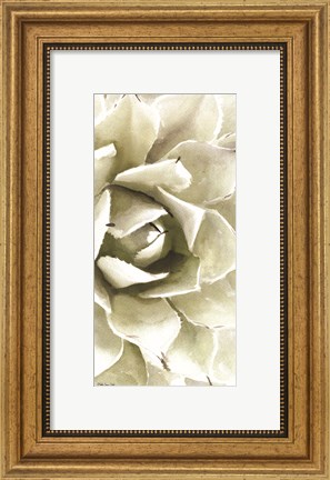 Framed Agave Panel 1 Print