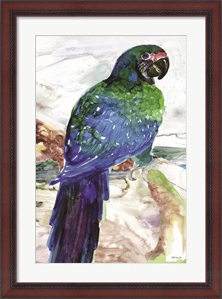 Framed Blue Parrot on Branch 1 Print