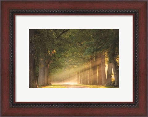 Framed Perfect Place to Sit Print