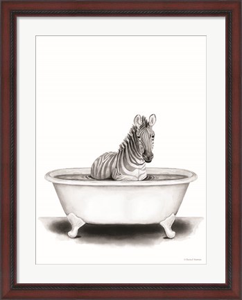 Framed Zebra in Tub Print