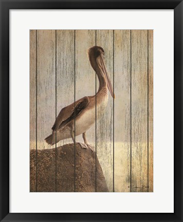 Framed Vintage Pelican II Print