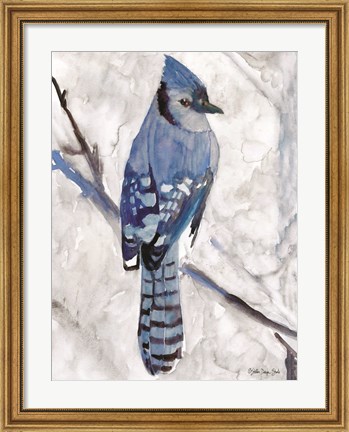 Framed Blue Jay 1 Print