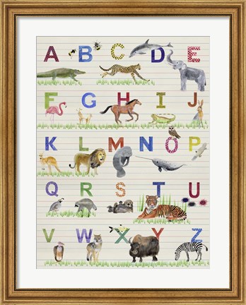 Framed Alphabet Animals Print
