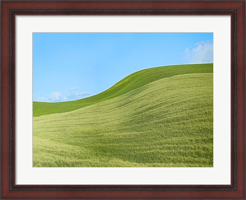 Framed Farmscape Photo IV Print