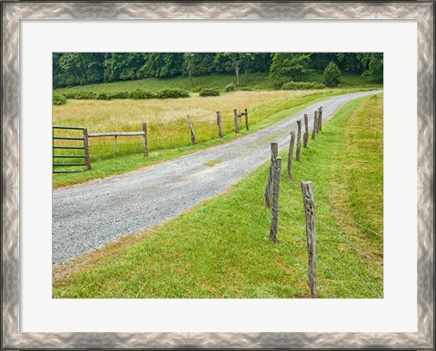 Framed Country Road Photo III Print