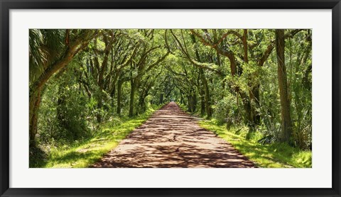 Framed Country Road Photo VII Print