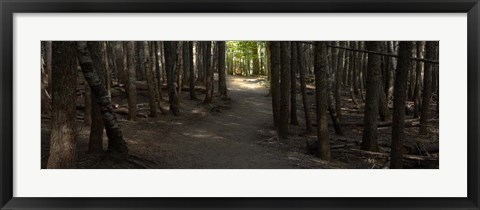 Framed Country Road Panorama VII Print