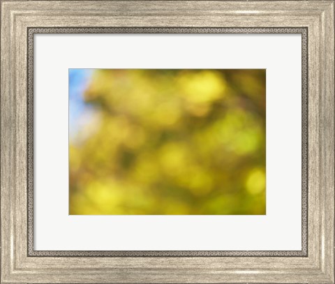 Framed Soft Landscape VI Print