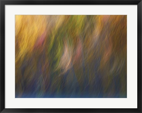 Framed Soft Landscape X Print