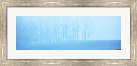 Framed Tree Panorama II Print