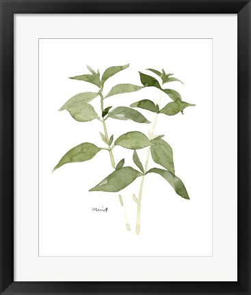 Framed Herb Garden Sketches I Print