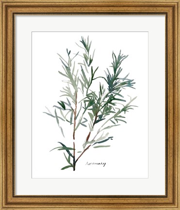 Framed Herb Garden Sketches IV Print