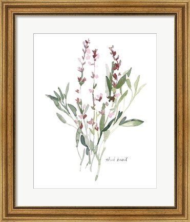Framed Herb Garden Sketches V Print