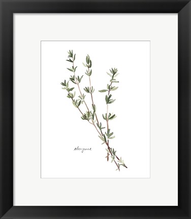 Framed Herb Garden Sketches VI Print