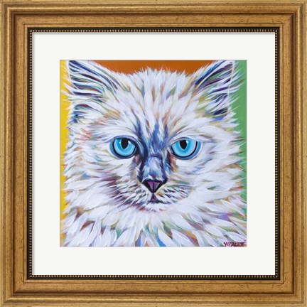Framed Classy Cat II Print