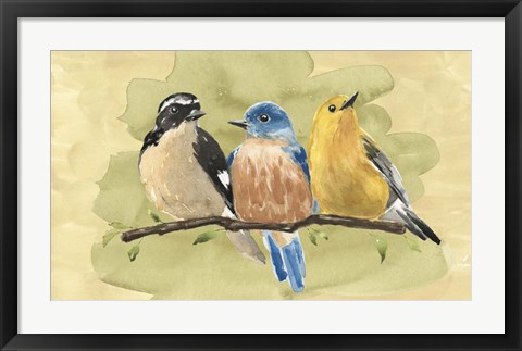 Framed Bird Perch IV Print