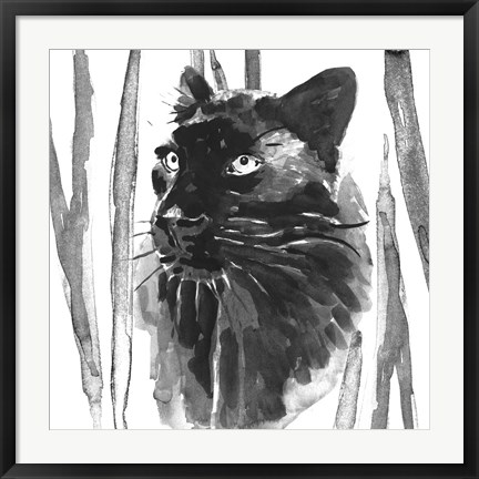 Framed Still Cat I Print