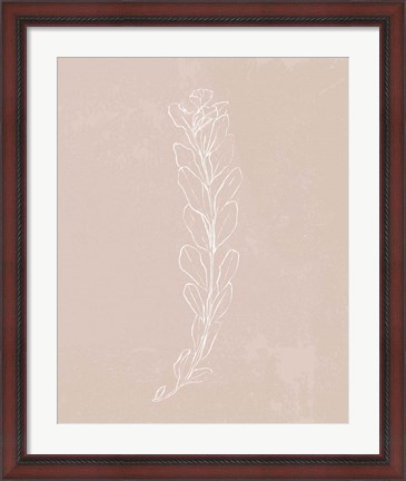 Framed Blush Bloom II Print