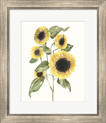 Framed Sunflower Composition I Print
