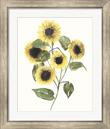Framed Sunflower Composition II Print