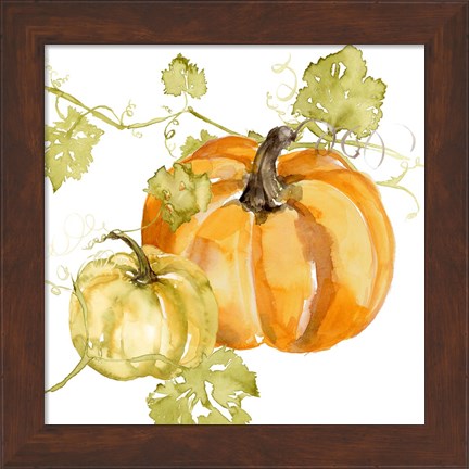 Framed Watercolor Harvest I Print
