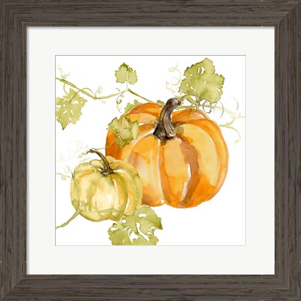 Framed Watercolor Harvest I Print