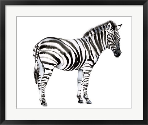 Framed Standing Zebra I Print