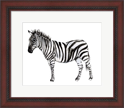 Framed Standing Zebra II Print
