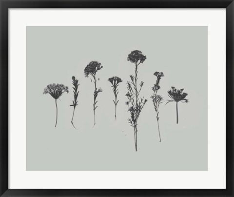 Framed Wildflower Memory II Print
