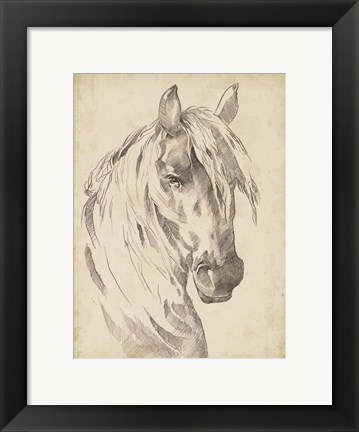 Framed Horse Portrait Sketch I Print