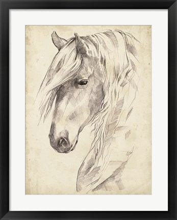 Framed Horse Portrait Sketch II Print