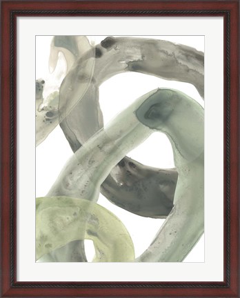 Framed Concentric Lichen IV Print
