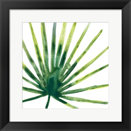 Framed Tropical Jewel I Print