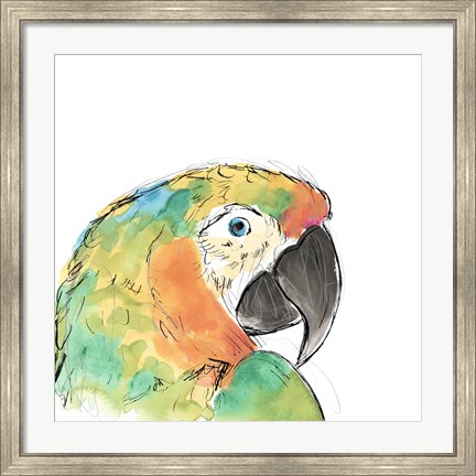 Framed Tropical Bird Portrait IV Print