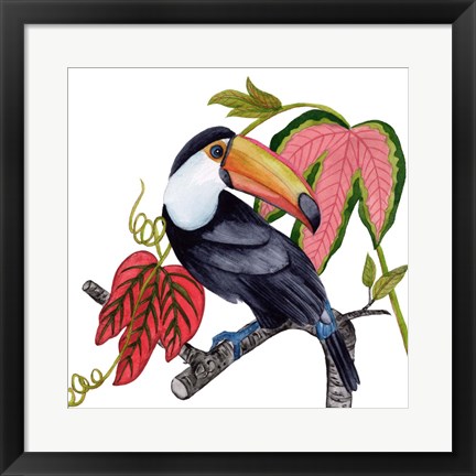 Framed Toco Toucan I Print