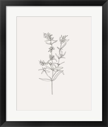 Framed Wild Foliage Sketch I Print