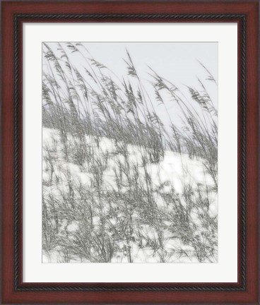 Framed Lush Dunes III Print