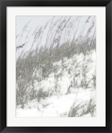 Framed Lush Dunes IV Print