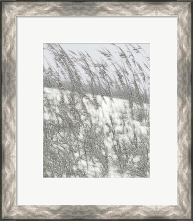 Framed Lush Dunes VI Print